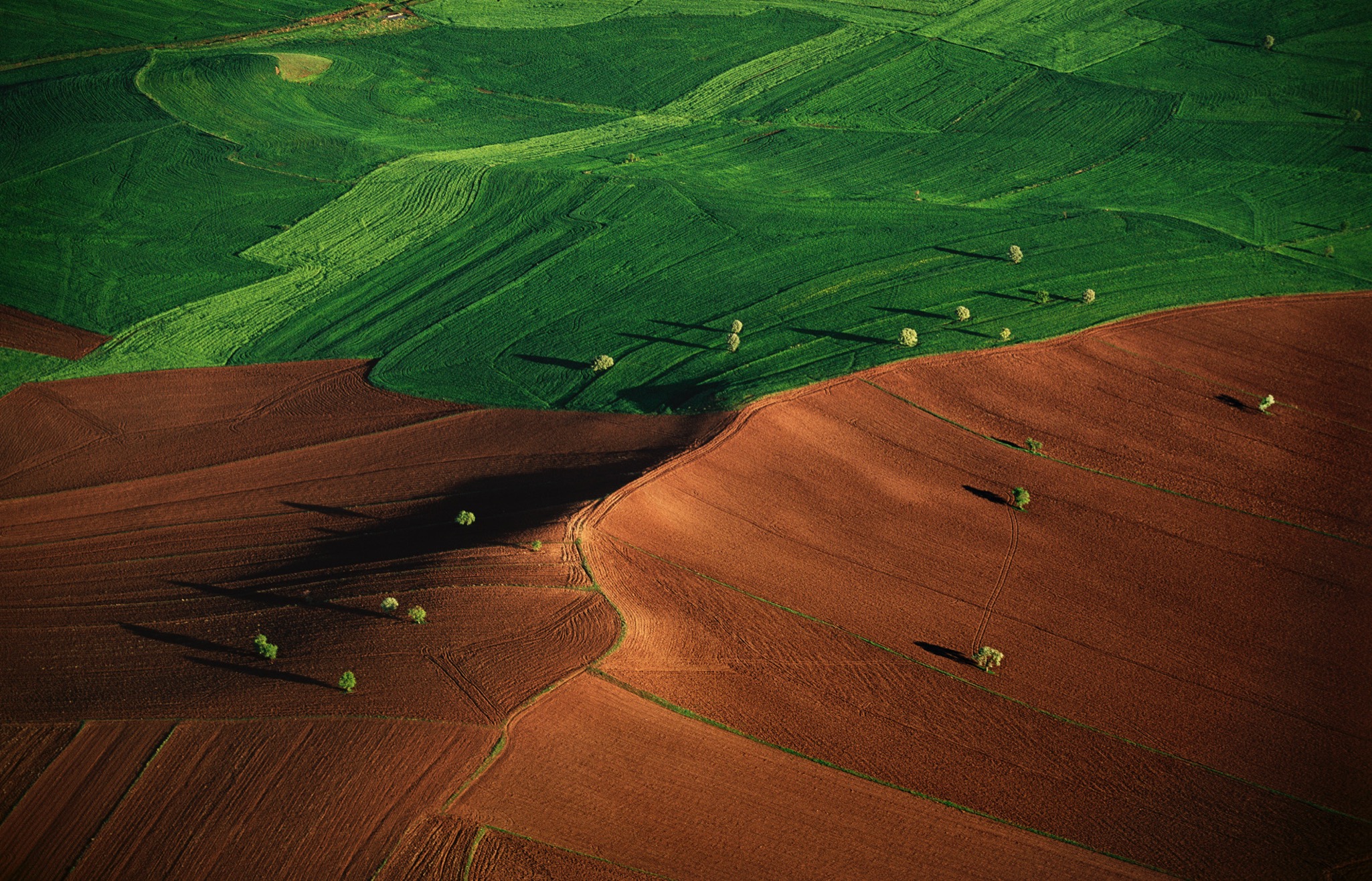 Changement climatique, gestion durable des terres et sécurité alimentaire